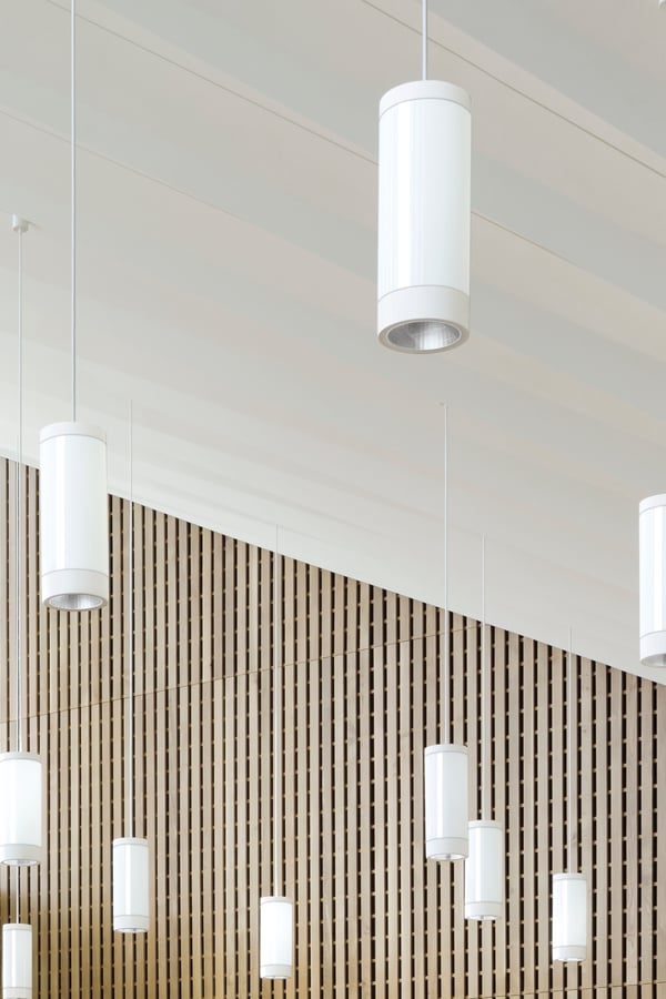 Downlight luminaire 2025